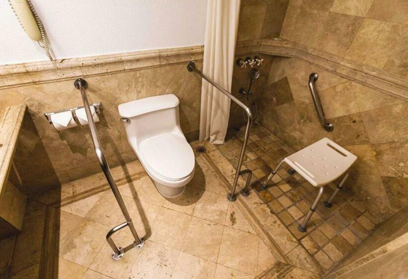 اتاق استاندارد با تخت بزرگ برای معلولان, Clarion Hotel Real Tegucigalpa