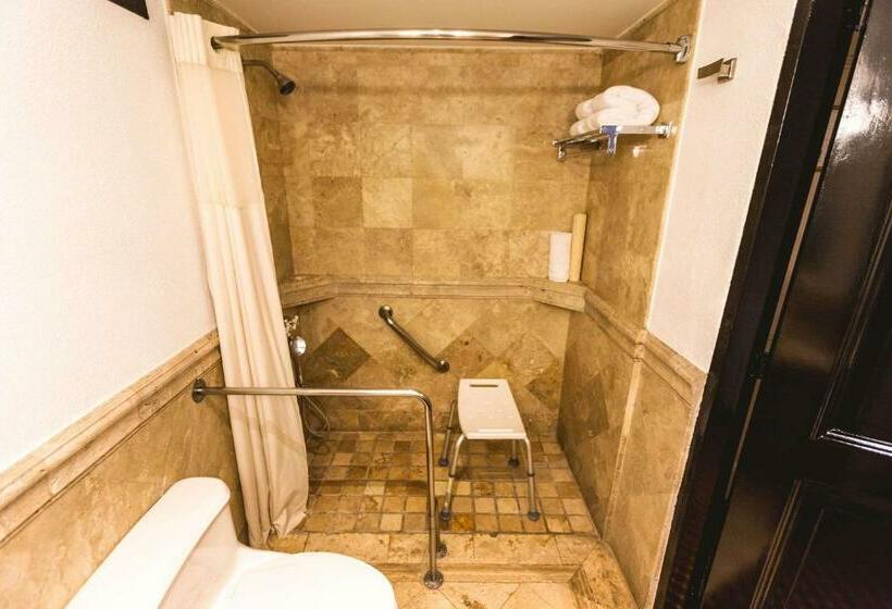 اتاق استاندارد با تخت بزرگ برای معلولان, Clarion Hotel Real Tegucigalpa