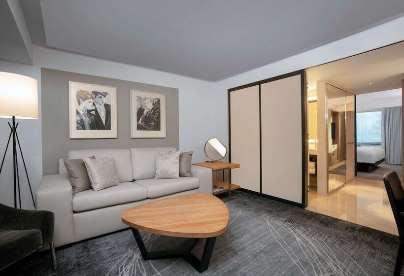 适合残疾人士使用的套间, Conrad New York Downtown