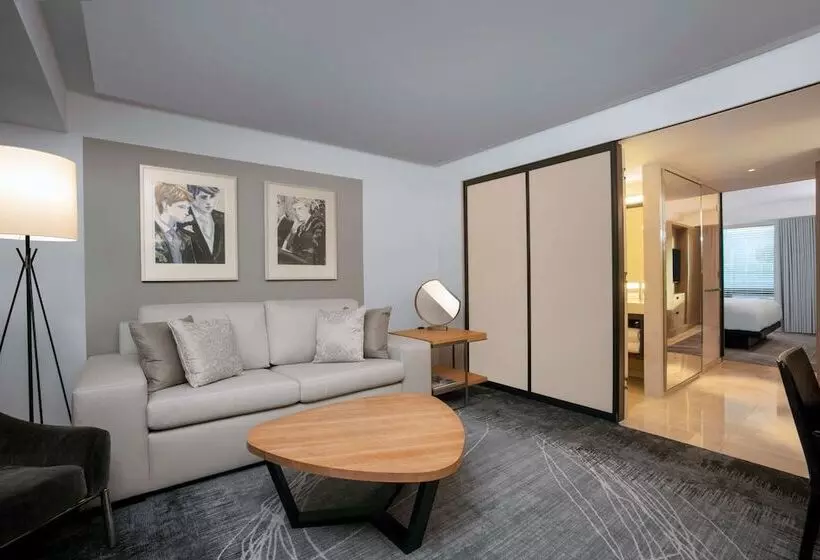 Sviitti Liikuntarajoitteisille, Conrad New York Downtown