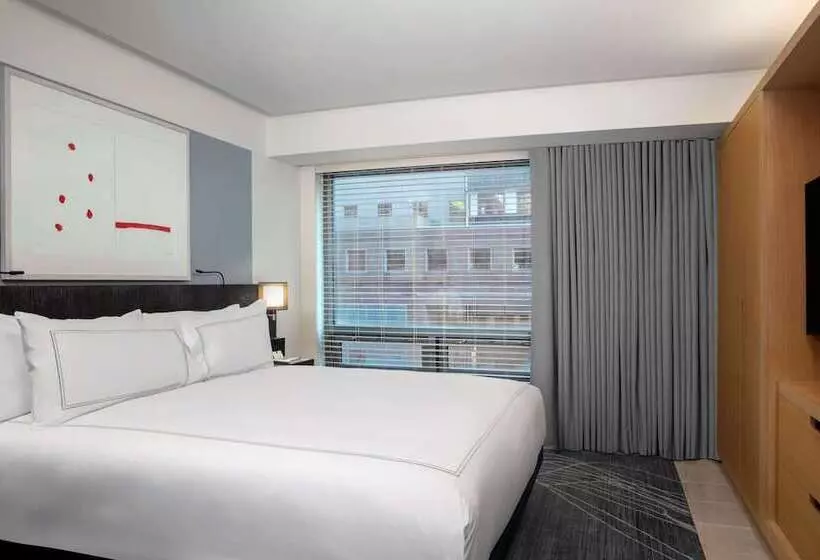 Sviitti Liikuntarajoitteisille, Conrad New York Downtown