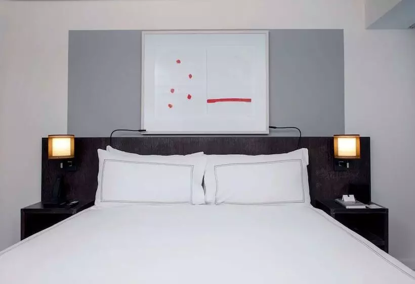 Sviitti Liikuntarajoitteisille, Conrad New York Downtown