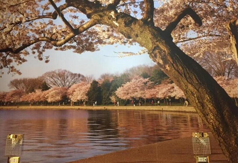 اتاق سوپریور, Des Artistes