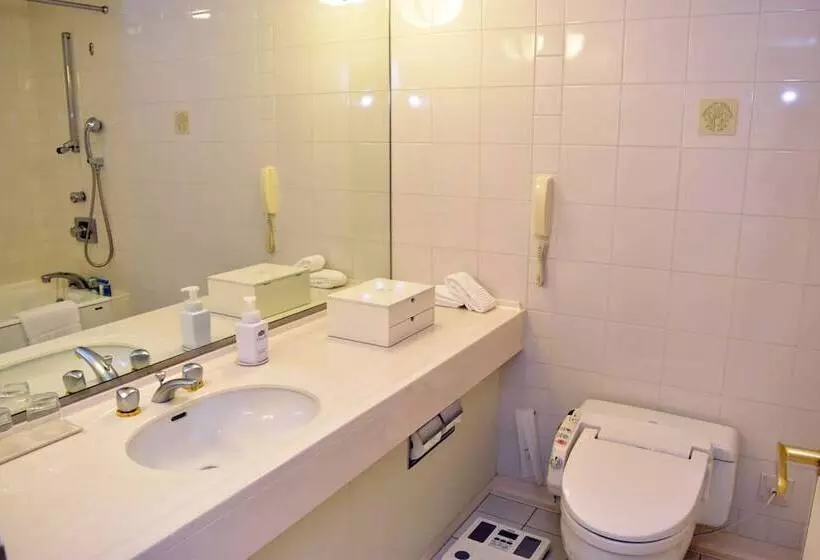 オーシャンビュースーペリアールーム, Vignette Collection The Windsor Hotel Toya, An Ihg