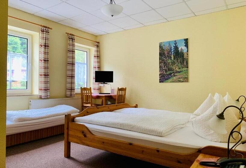 Номер Стандарт, Pension Weiberwirtschaft In Pobershau