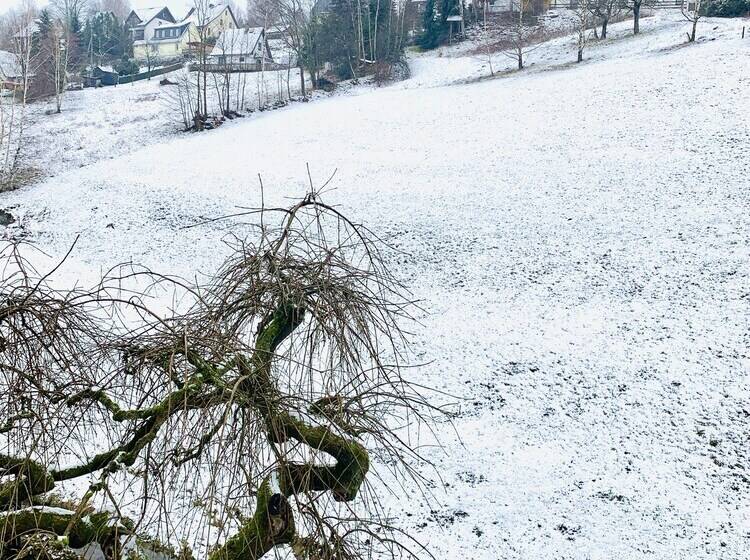 Номер Стандарт, Pension Weiberwirtschaft In Pobershau