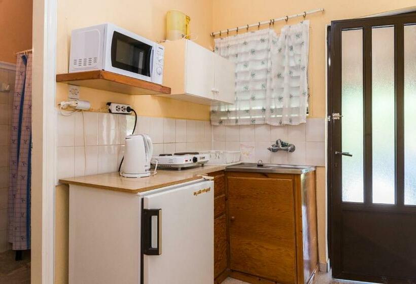 اتاق استاندارد, Roussa's Apartments