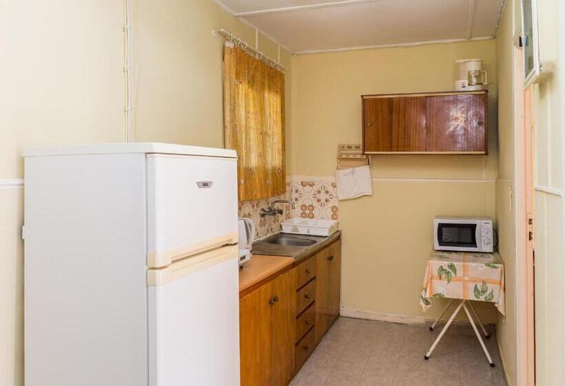 اتاق استاندارد چهار تخته, Roussa's Apartments