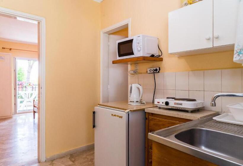 اتاق استاندارد چهار تخته, Roussa's Apartments