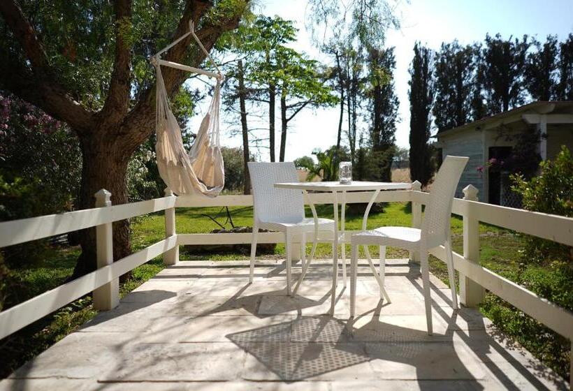 스탠다드 룸 풀장 전망, Agriturismo Tenuta Carrino