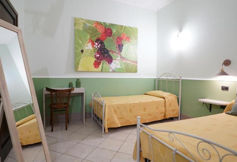 스탠다드 룸, Agriturismo Tenuta Carrino