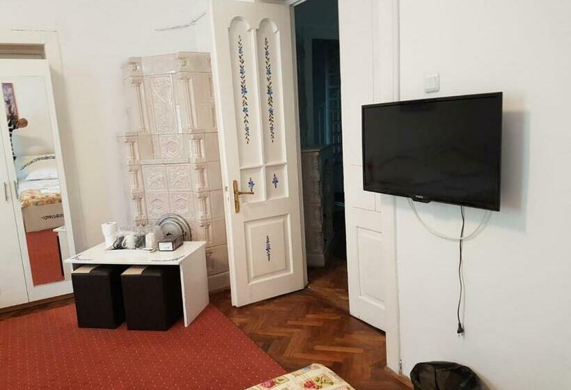 غرفة قياسية رباعية, Pensiunea Geostar 2