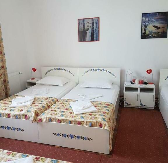 غرفة قياسية رباعية, Pensiunea Geostar 2