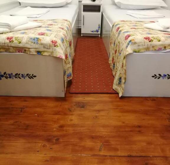 جناح, Pensiunea Geostar 2