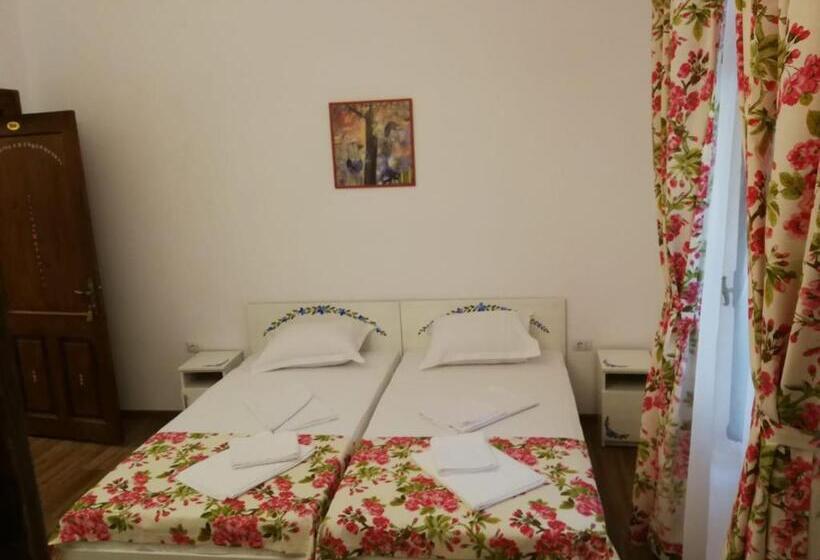 غرفة قياسية, Pensiunea Geostar 2