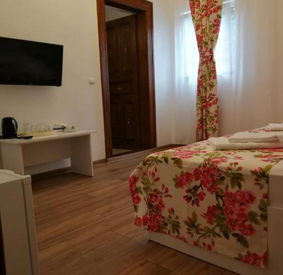 غرفة قياسية, Pensiunea Geostar 2