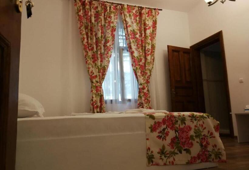 غرفة قياسية, Pensiunea Geostar 2