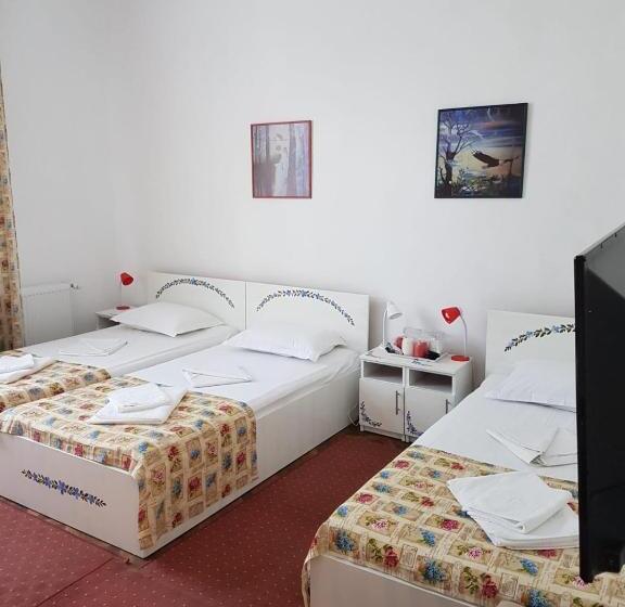 غرفة قياسية رباعية, Pensiunea Geostar 2