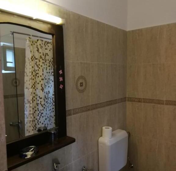 غرفة قياسية, Pensiunea Geostar 2