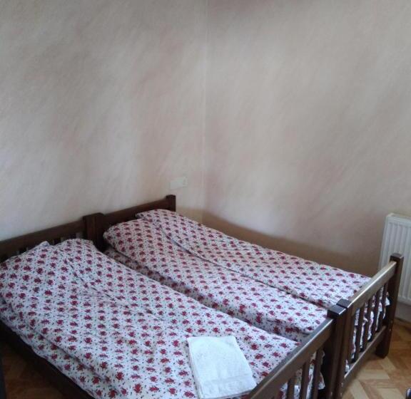 اتاق استاندارد با سرویس بهداشتی مشترک, Family Hotel Mtamta