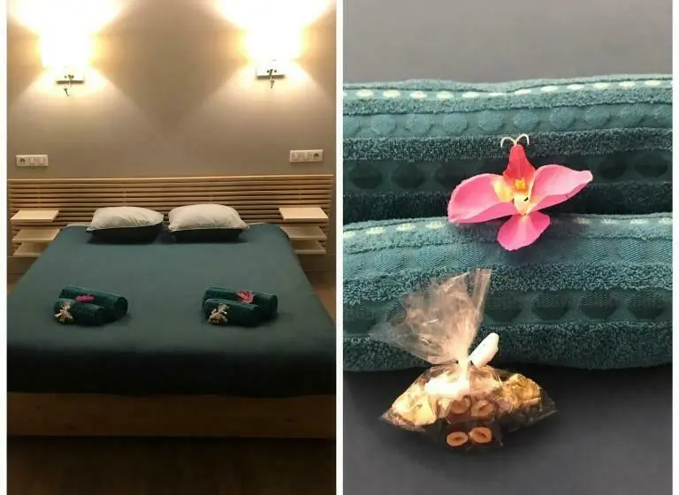 マウンテンビュースタンダードルーム, Auberge Des Isards