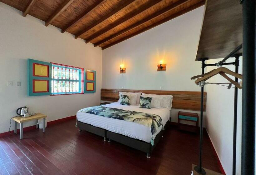 标准间带山景, Momotus Cocora