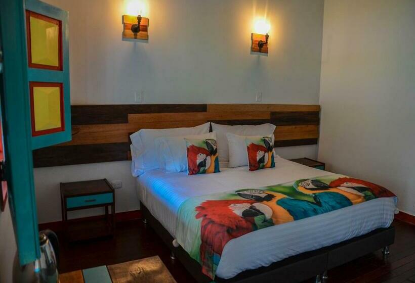 标准间带山景, Momotus Cocora