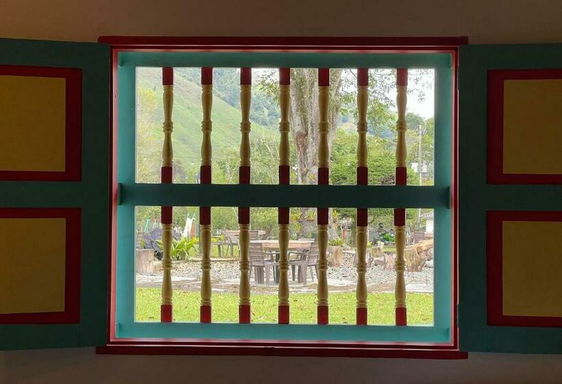 标准间带山景, Momotus Cocora