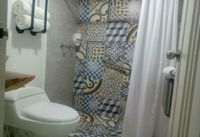 标准间带山景, Momotus Cocora