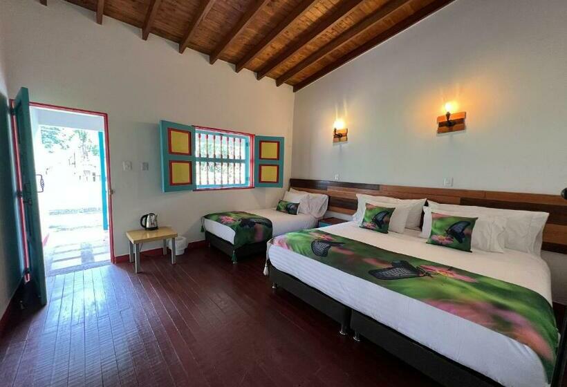 标准三人间, Momotus Cocora