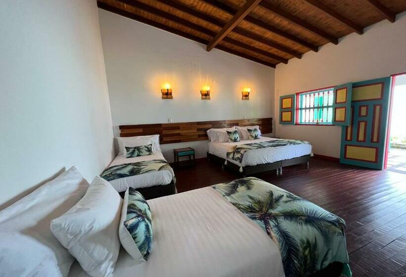 四人标准间, Momotus Cocora