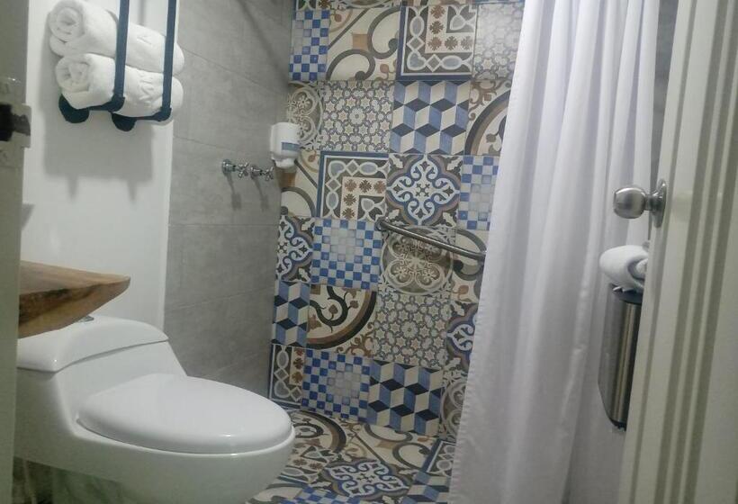 四人标准间, Momotus Cocora