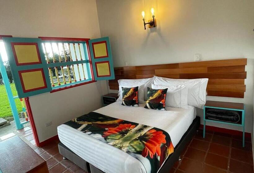 标准间, Momotus Cocora