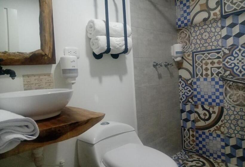 标准间, Momotus Cocora