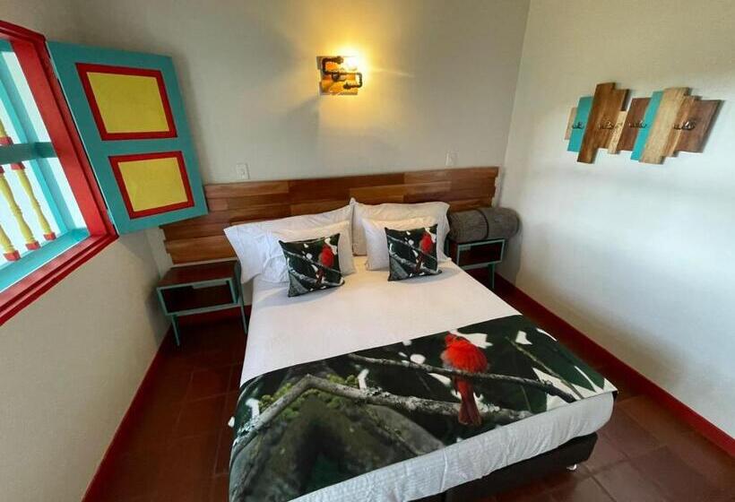 标准间, Momotus Cocora