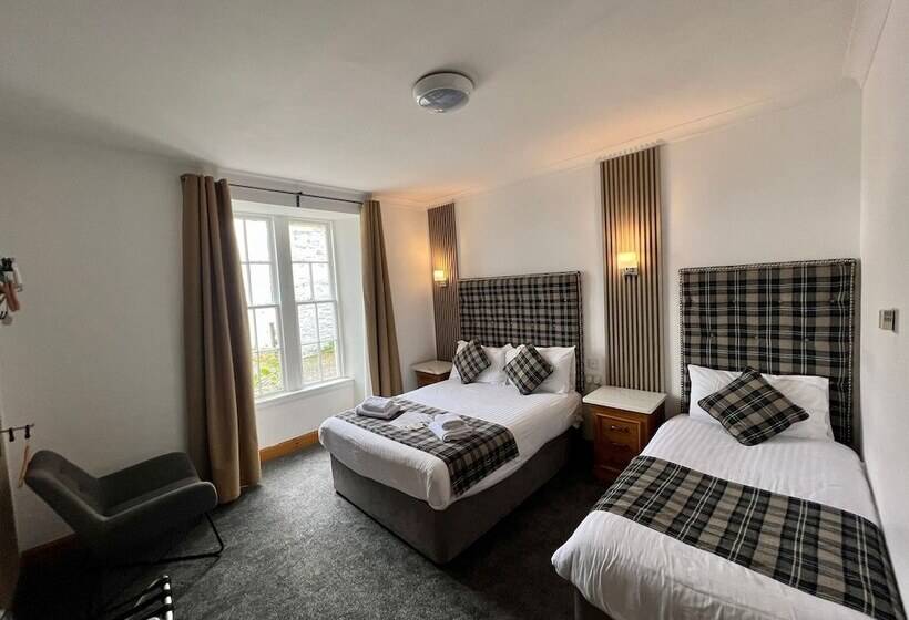 Семейный Номер, The Grey Gull