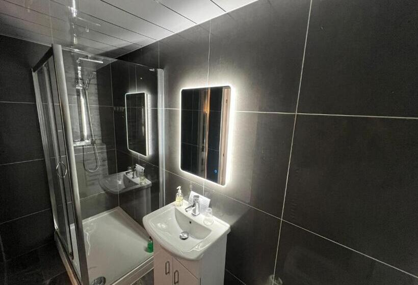 Номер Стандарт, The Grey Gull