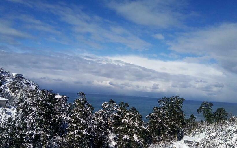 اتاق سوپریور با چشم‌انداز دریا, Giorgi Kvariati