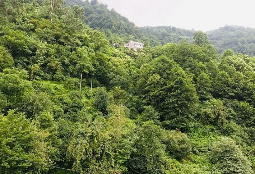 اتاق سوپریور با چشم‌انداز دریا, Giorgi Kvariati