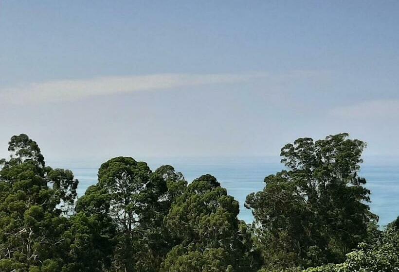 اتاق سوپریور با چشم‌انداز دریا, Giorgi Kvariati