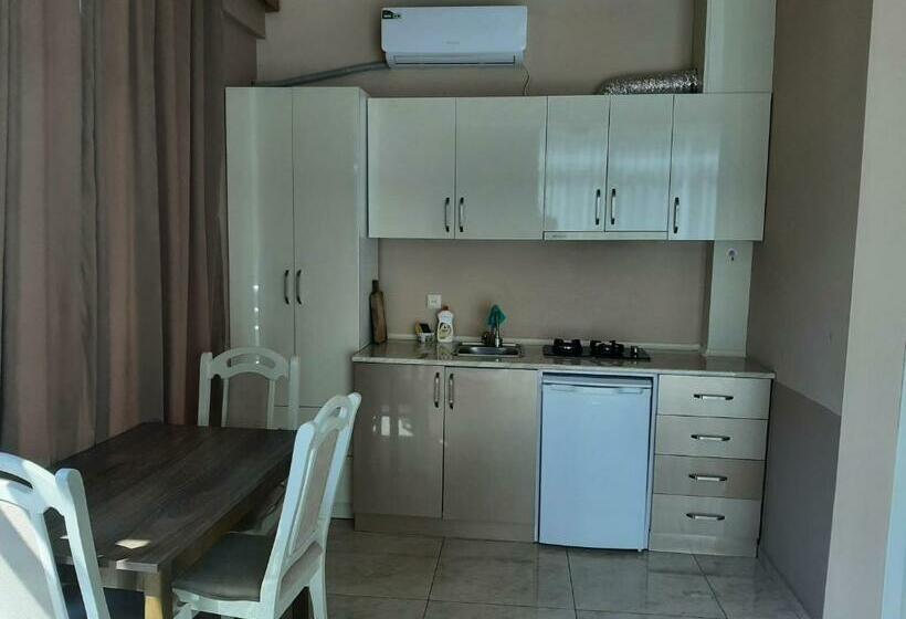 اتاق سوپریور با چشم‌انداز دریا, Giorgi Kvariati