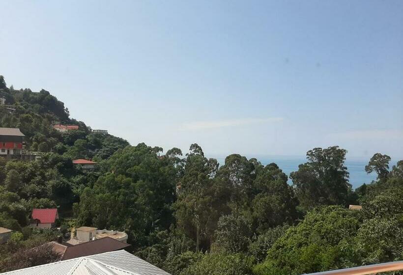 اتاق سوپریور با چشم‌انداز دریا, Giorgi Kvariati