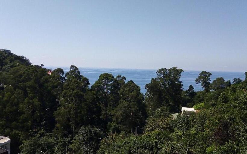 اتاق سوپریور با چشم‌انداز دریا, Giorgi Kvariati