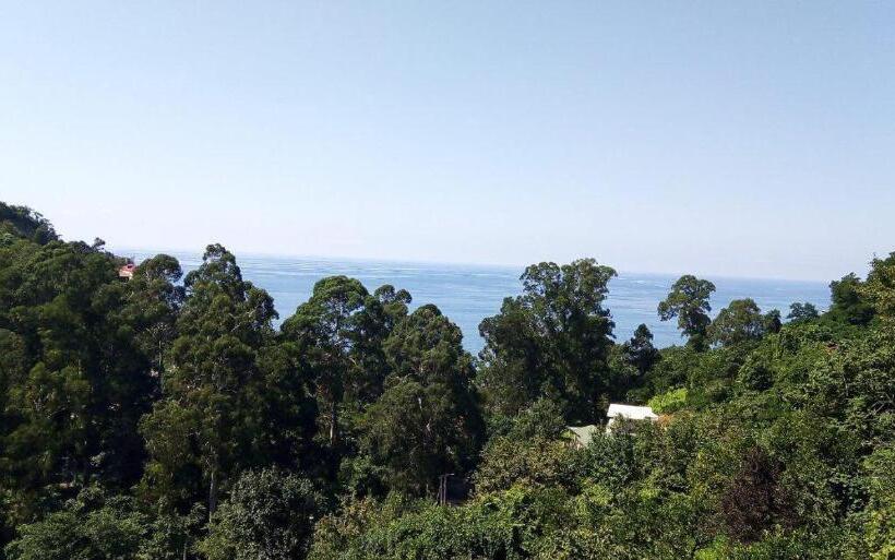 اتاق سه نفره سوپریور با چشم‌انداز دریا, Giorgi Kvariati