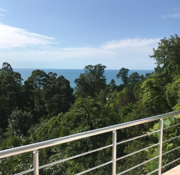 اتاق سوپریور با چشم‌انداز دریا, Giorgi Kvariati