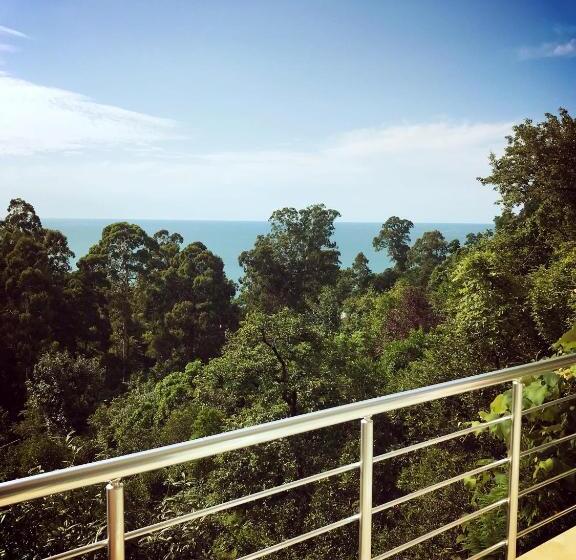 اتاق سوپریور با چشم‌انداز دریا, Giorgi Kvariati