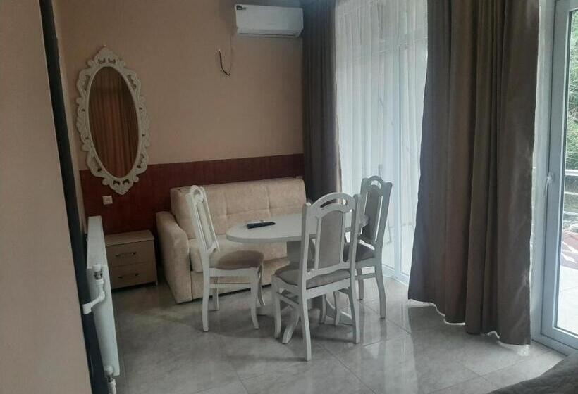 اتاق سوپریور با چشم‌انداز کوهستان, Giorgi Kvariati