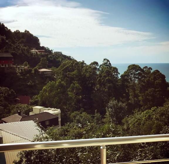 اتاق سوپریور با چشم‌انداز دریا, Giorgi Kvariati