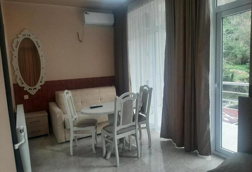 اتاق سوپریور با چشم‌انداز کوهستان, Giorgi Kvariati