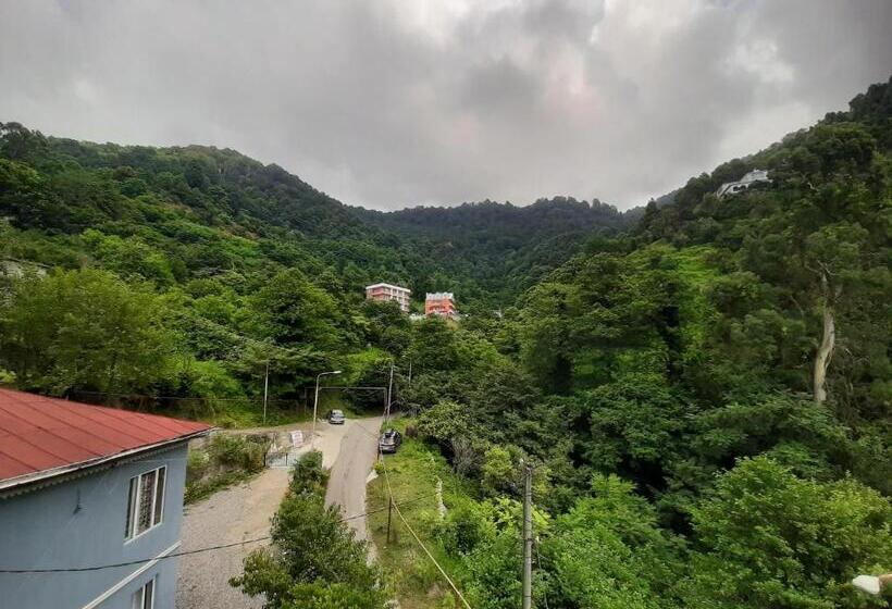 اتاق سوپریور با چشم‌انداز کوهستان, Giorgi Kvariati